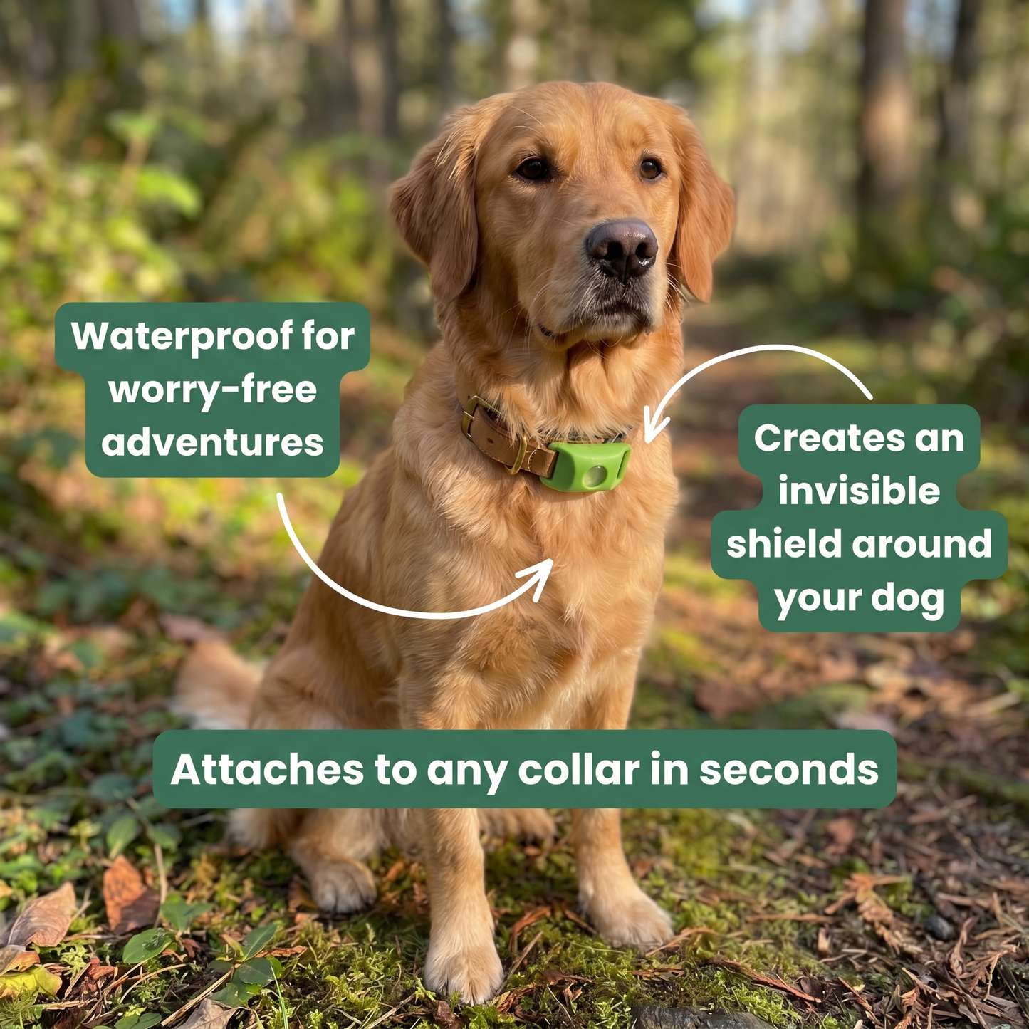 FurShield™ Flea & Tick Protection