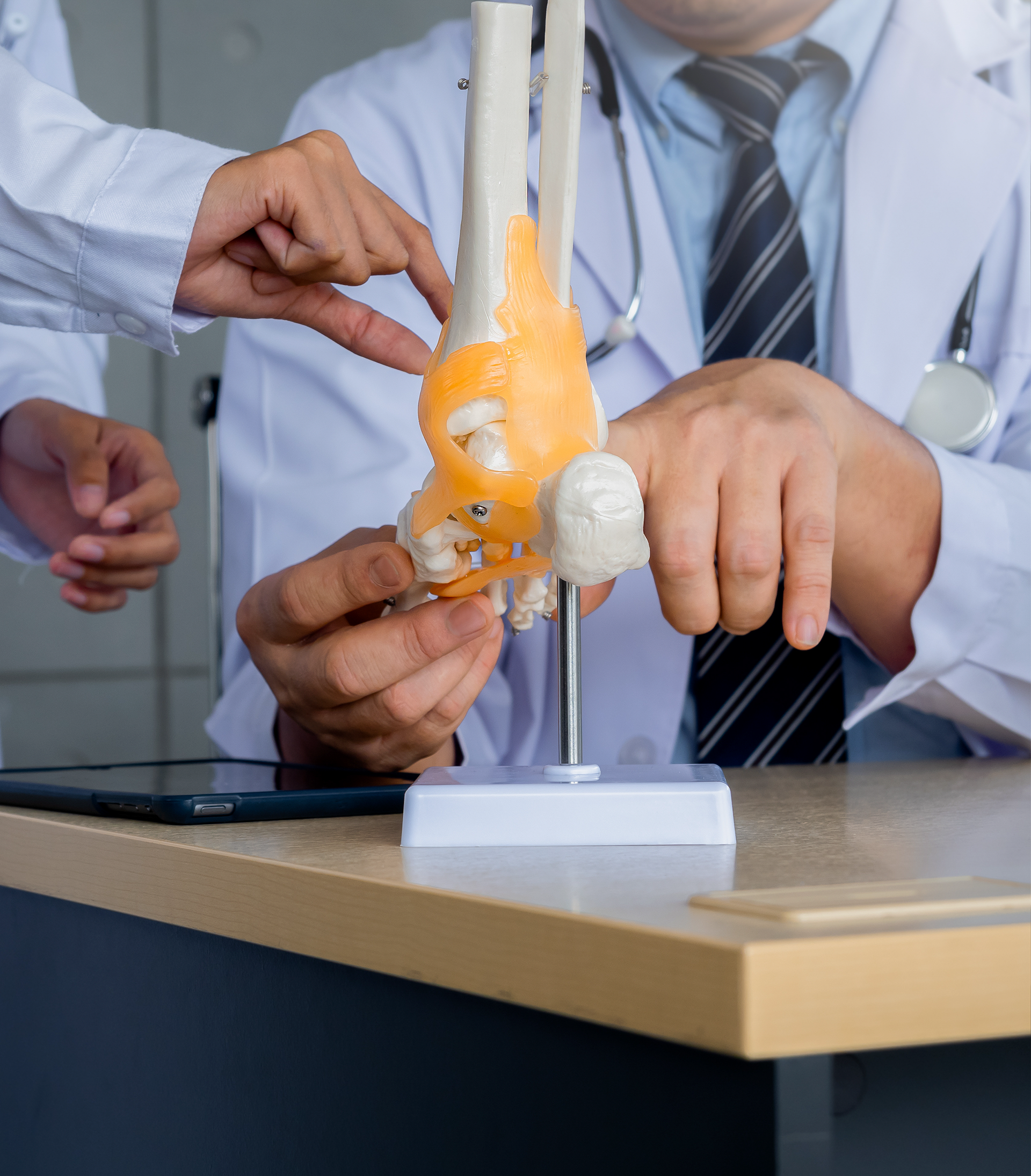 Chiropractic expert demonstrating spinal support